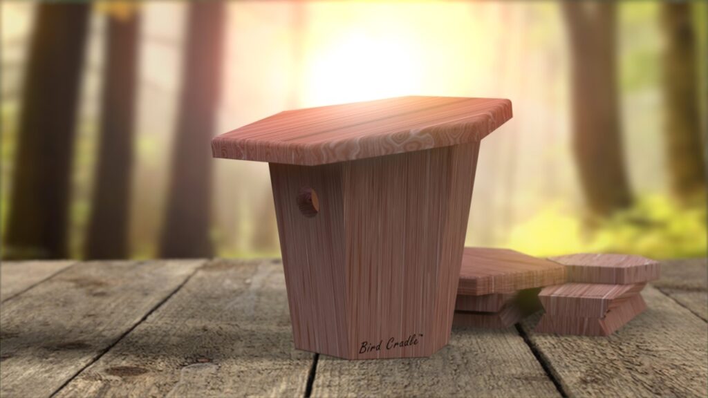 The Bird Cradle