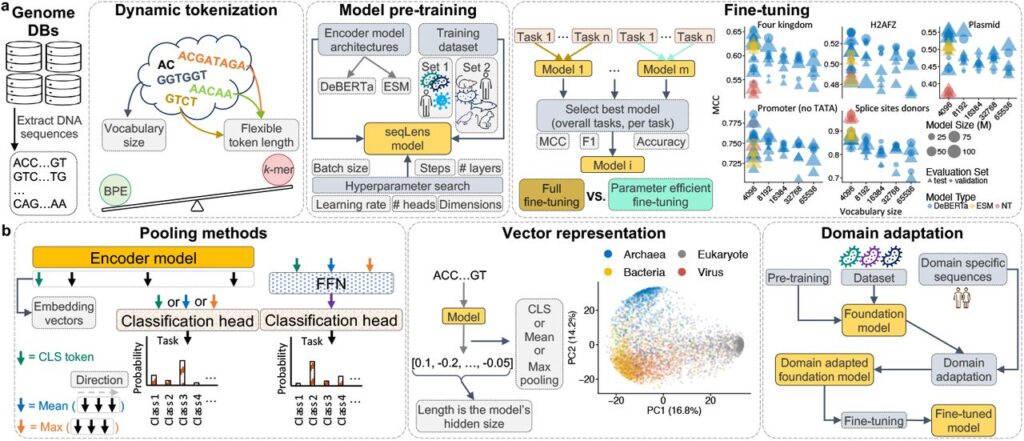 Large Language Models for DNA to Advance Health