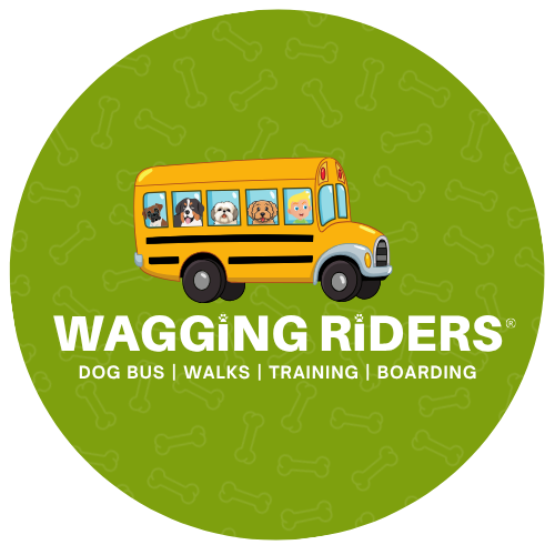 wagging Riders