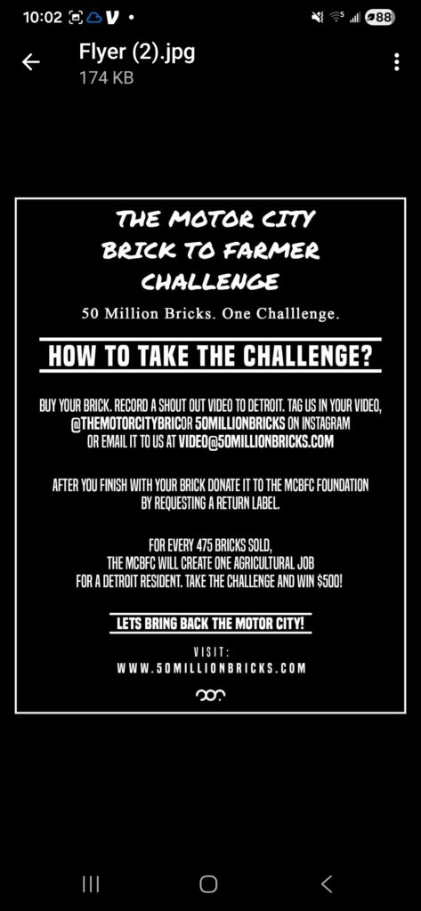 The Motor City Brick to Farmer Challenge 50 Million Bricks One Challenge